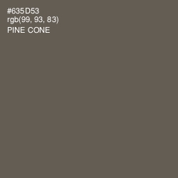 #635D53 - Pine Cone Color Image